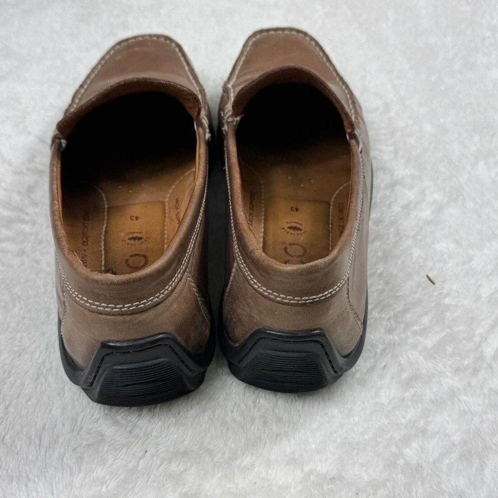 Ecco these brown